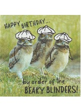 Happy Birthday...
